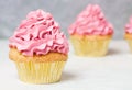 Pink cupcakes with roses and holiday cake. Festive and bright. Wedding Celebration concept. Royalty Free Stock Photo