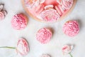Pink cupcakes with roses and holiday cake. Royalty Free Stock Photo