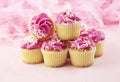 Pink Cupcakes With Sprinkles Royalty Free Stock Photo