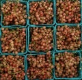 pink currants in containers at farmers market (red, yellow, blue berries, produce, champagne currant berry) Royalty Free Stock Photo