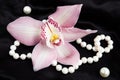 Pink Cymbidium Orchid with pearls on a black silk