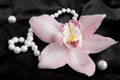 Pink Cymbidium Orchid with pearls on a black silk Royalty Free Stock Photo