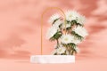 Pink 3D rendering illustration of common daisy vase and pink empty space podium display for product