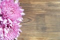 Pink Dahlia Background Rustic Wood Royalty Free Stock Photo