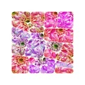Pink dahlia flower design Royalty Free Stock Photo