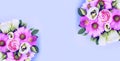 Pink daisies on a blu background. Spring flower arrangement. Royalty Free Stock Photo