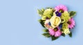 Pink daisies on a blu background. Spring flower arrangement. Royalty Free Stock Photo