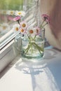 Pink daisies on the windowsill, bunch of wildflowers in glass mug by the window Royalty Free Stock Photo