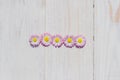 Pink Daisy  flowers on wooden table background with copy space Royalty Free Stock Photo