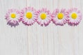 Pink Daisy  flowers on wooden table background with copy space Royalty Free Stock Photo