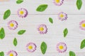 Pink Daisy  flowers on wooden table background with copy space Royalty Free Stock Photo