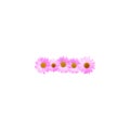 Pink Daisy Hyphen Mark