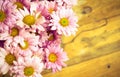 Pink daisy over wood background Royalty Free Stock Photo