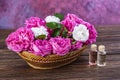Pink Damask Rose flowers Rosa damascena Royalty Free Stock Photo