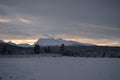 Pink dawn sky over frost ice and snowy winter forest and field landscape Royalty Free Stock Photo