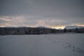 Pink dawn sky over frost ice and snowy winter forest and field Royalty Free Stock Photo