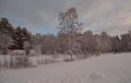 Pink dawn sky over frost ice and snowy winter forest and field landscape Royalty Free Stock Photo