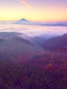 Pink daybreak in hilly landscape. Early winter misty morning in land