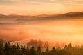 Pink daybreak in landscape. Autumn freeze misty morning in a beautiful hills. Peaks of hills are sticking out from pink orang