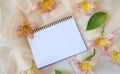 Pink daylily flowers on a light pink scarf with a notebook, top view Royalty Free Stock Photo