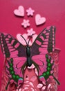 Pink decorative butterfly pink background