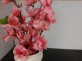 pink decorative flowers in the corner of the room