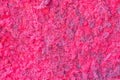 Pink decorative moss texture. Wall from moss background Royalty Free Stock Photo