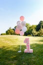 Pink decorative number one with balloons standing on green grass and blue sky background. Royalty Free Stock Photo