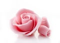 Pink decorative sugar rose