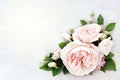 Pink delicate blossoming rose blooming flowers festive background