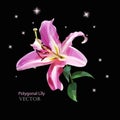 Pink delicate lily in polygonal style on a black background with twinkling stars