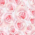 Roses. Watercolor floral seamless pattern Royalty Free Stock Photo