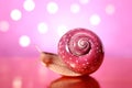 Pink Disco snail on a pink background