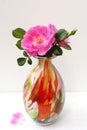 Pink dog rose in colorful glass vase Royalty Free Stock Photo