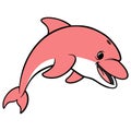 Pink Dolphin Royalty Free Stock Photo