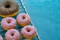 Pink donuts and chocolate dougnut on grid, copy space Royalty Free Stock Photo