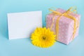 Pink dotted gift box, yellow gerbera flower and empty card over a blue background. Royalty Free Stock Photo