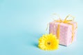 Pink dotted gift box and a yellow gerbera flower over a blue background. Royalty Free Stock Photo
