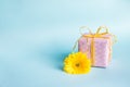 Pink dotted gift box and a yellow gerbera flower over a blue background. Royalty Free Stock Photo