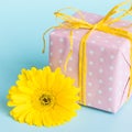 Pink dotted gift box and a yellow gerbera flower over a blue background.