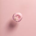 Pink doughnut with sprinkles falling or flying in motion Royalty Free Stock Photo