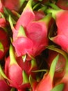 Pink dragon fruit