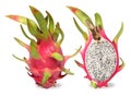 Pink dragon fruit. Fruitage of cactus is tropical fruit. Royalty Free Stock Photo