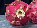 Pink Dragon fruit