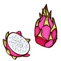 Pink dragon fruit. pitaya for healthy lifestyle. whole fruit and half. Exotic fruits on isolated on white. Hawaiian food