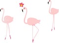 Pink drawn flamingos Royalty Free Stock Photo