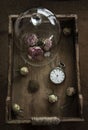 Pink dried roses in glass and wooden box Royalty Free Stock Photo