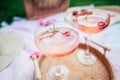 Pink drinks, cocktail with ice, raspberry, rosemary. Two glasses with martini, champagne, cider, lemonade on the blanket