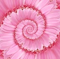 Pink Droste Spiral Flower Background Texture Royalty Free Stock Photo