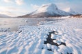 Pink early morning glow light on snow covered mountains in arctic norway, super wide panoramic scene. Scenic winter view